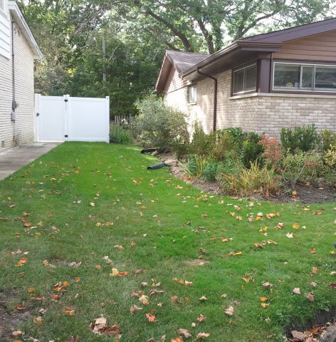 copyright 2011, Alexia Paul