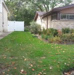 copyright 2011, Alexia Paul